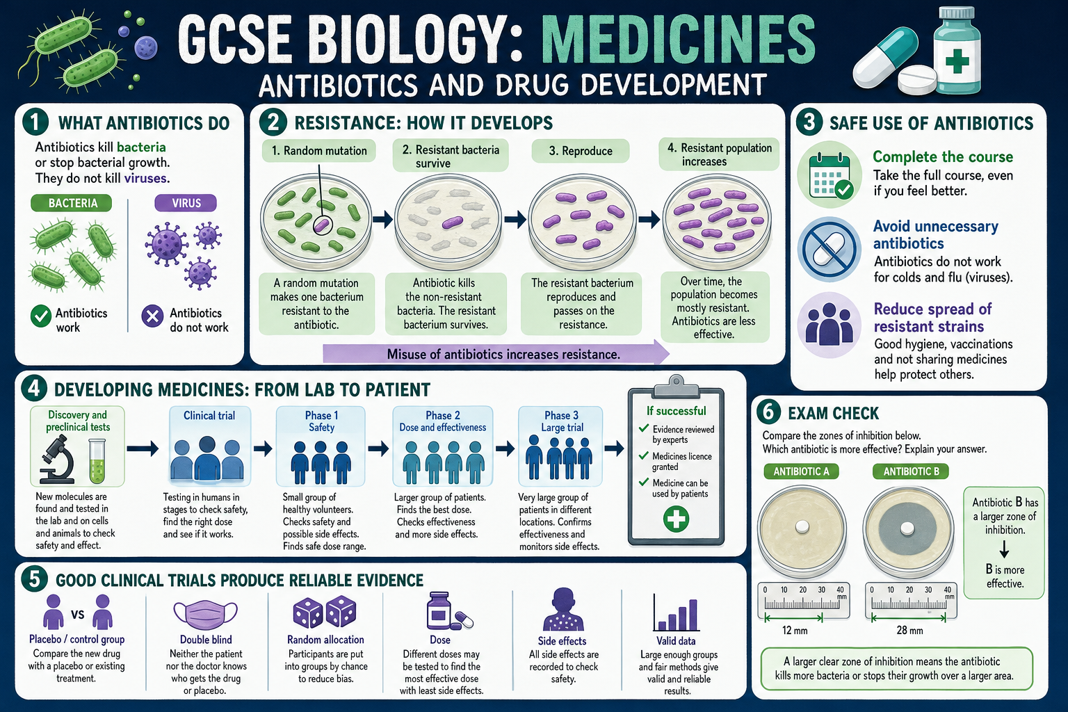 Infographic explaining antibiotics, antibiotic resistance, safe antibiotic use, clinical trials, placebo controls and zones of inhibition.