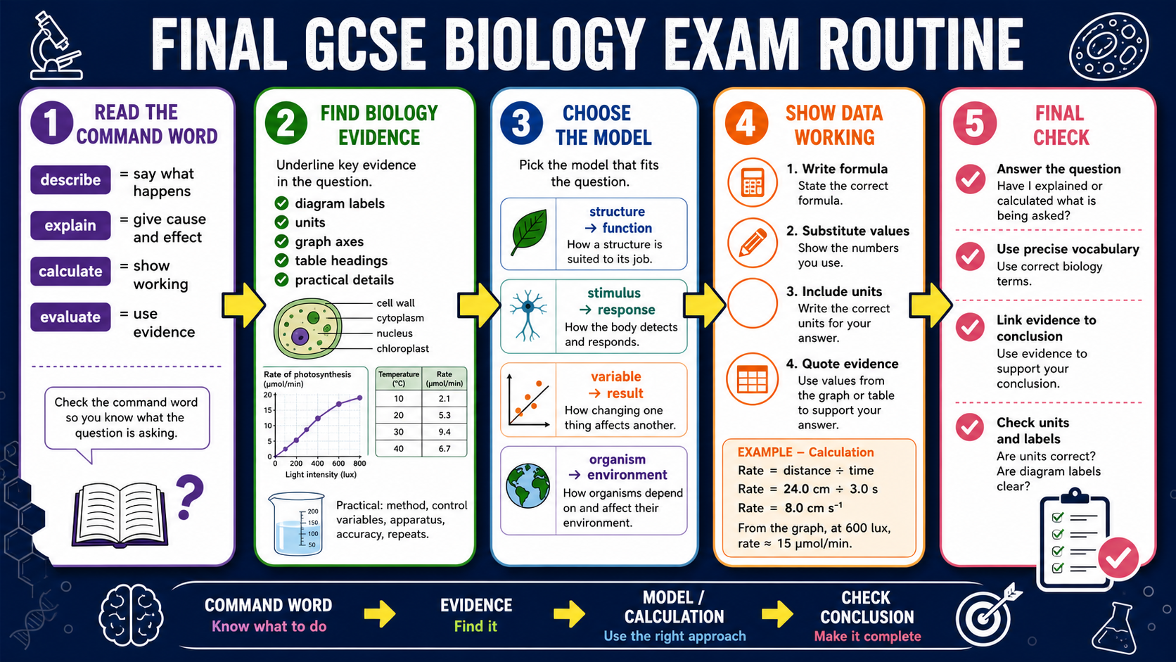 Infographic explaining a GCSE Biology exam routine, including command words, evidence, models, calculations, variables, evaluation and final checks.