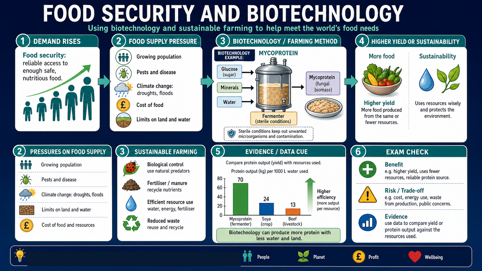Infographic explaining GCSE Biology food security and biotechnology, including food supply pressures, mycoprotein production in a fermenter, sustainable farming and yield evidence.