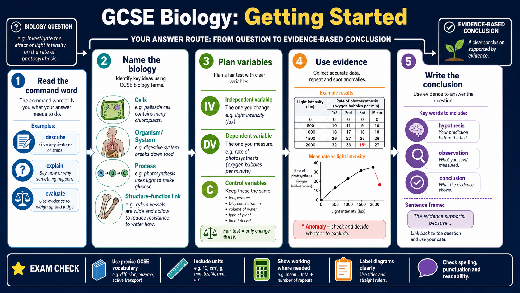 Infographic explaining how to start GCSE Biology questions using command words, structure-function links, variables, evidence and conclusions.