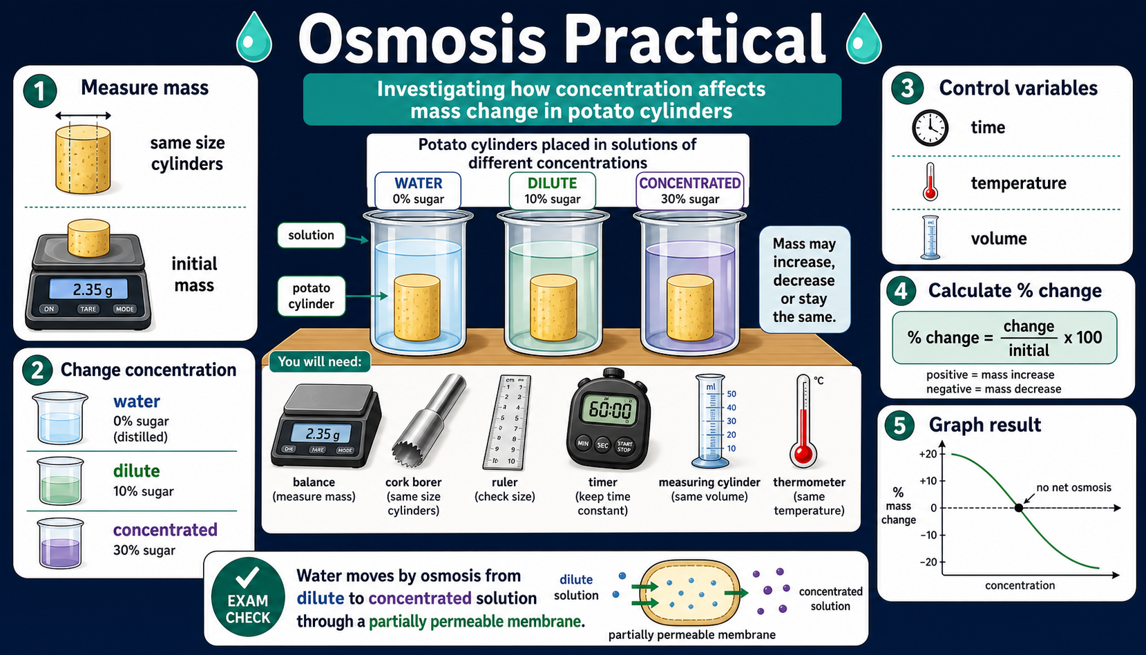 Infographic explaining the GCSE Biology osmosis practical with potato cylinders, solution concentrations, control variables, percentage mass change and graph interpretation.