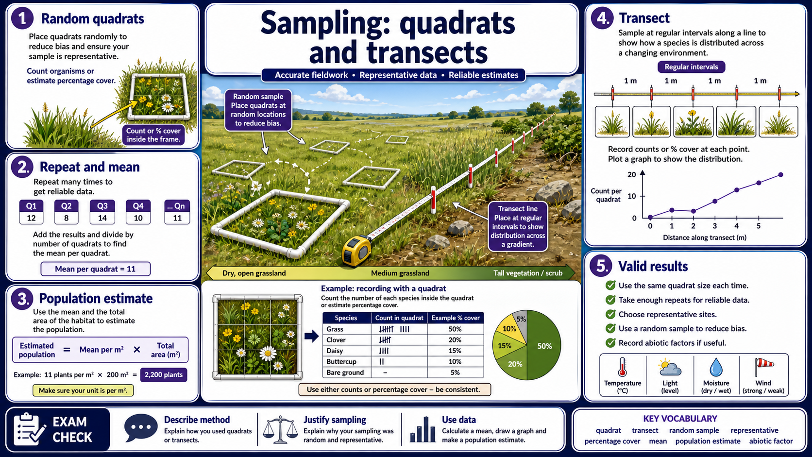 Infographic explaining GCSE Biology sampling with quadrats and transects, including random samples, repeated quadrat data, mean calculations, population estimates, percentage cover, transects and abiotic factors.