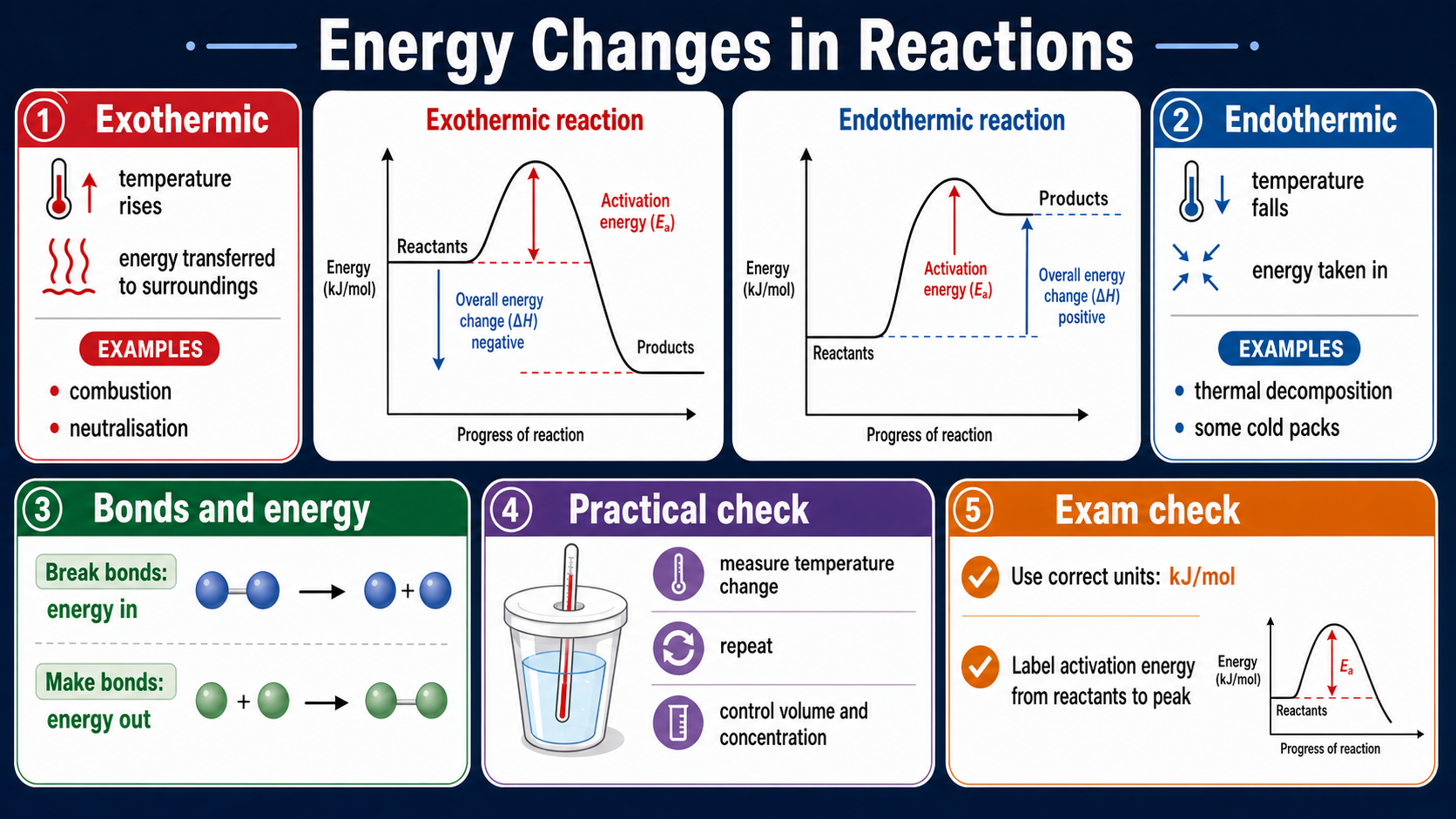 Illustrated GCSE Chemistry infographic showing exothermic and endothermic reaction profiles, activation energy, bond energy changes and temperature-change practical checks.