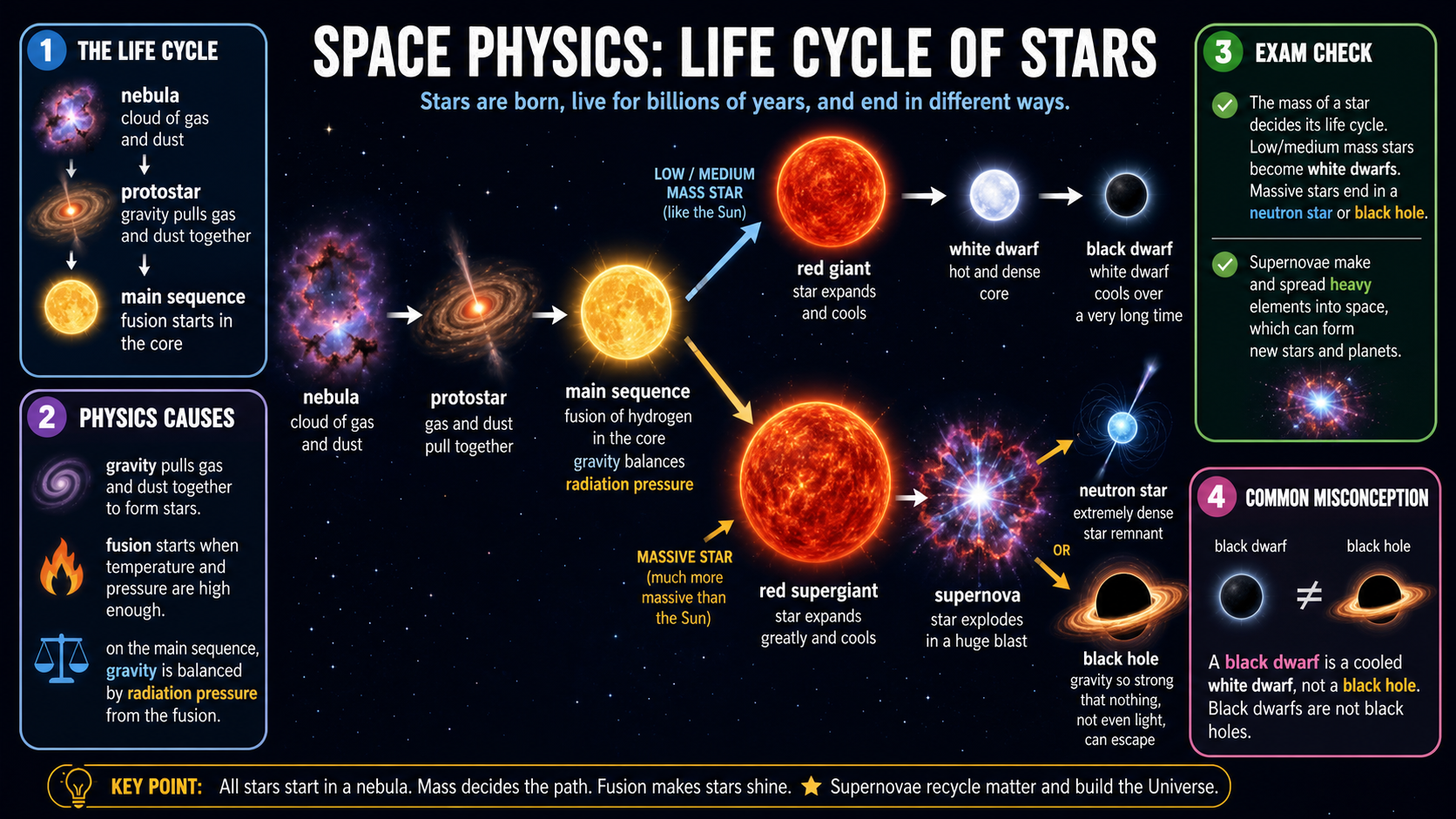 Infographic explaining GCSE Physics star life cycles, including nebula, protostar, main sequence, red giant, white dwarf, black dwarf, red supergiant, supernova, neutron star and black hole pathways.