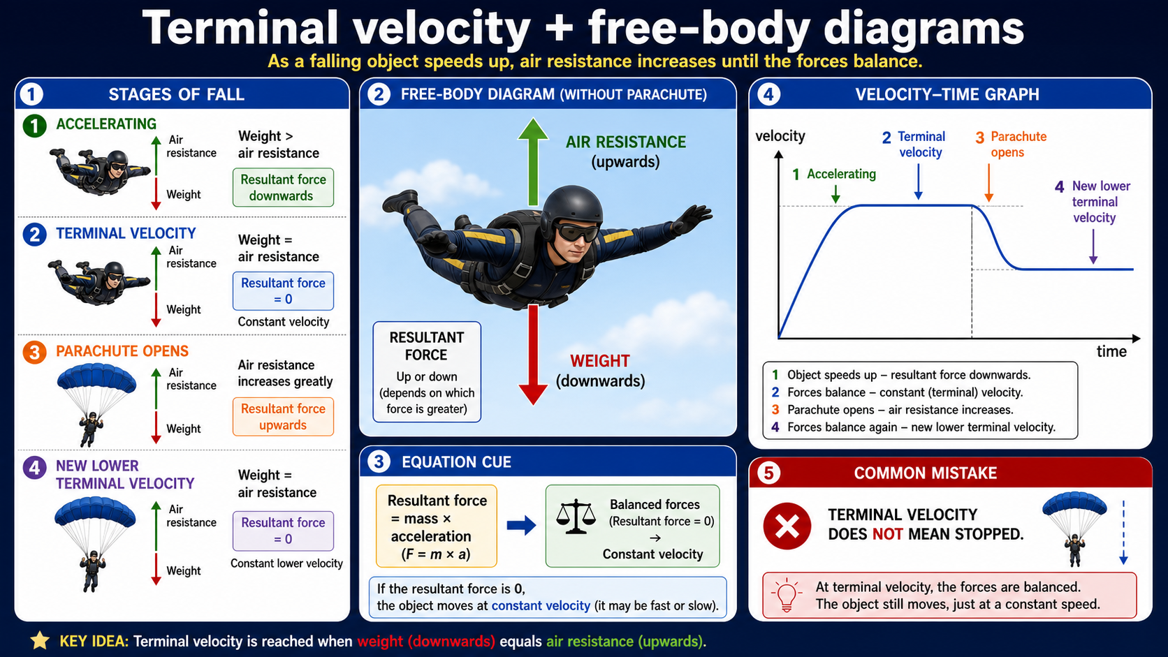 Infographic explaining GCSE Physics terminal velocity and free-body diagrams, including weight, air resistance, resultant force, balanced forces, a velocity-time graph and the common misconception that terminal velocity means stopped.